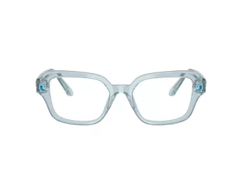 Swarovski SK 2039 1065 52 Women glasses