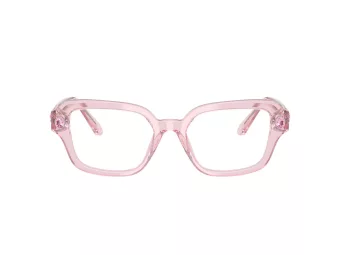 Swarovski SK 2039 3001 50 Women glasses