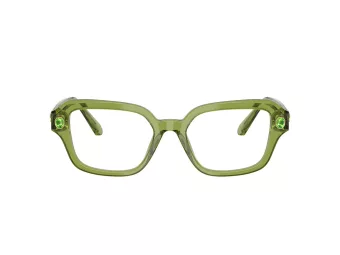 Swarovski SK 2039 3002 50 Women glasses