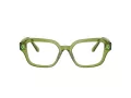 Swarovski SK 2039 3002 52 Women glasses