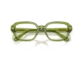 Swarovski SK 2039 3002 52 Women glasses