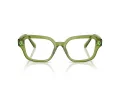 Swarovski SK 2039 3002 52 Women glasses
