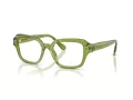 Swarovski SK 2039 3002 52 Women glasses