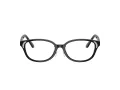 Swarovski SK 2040D 1001 52 Women glasses