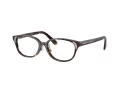 Swarovski SK 2040D 1002 52 Women glasses