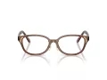 Swarovski SK 2040D 1067 52 Women glasses