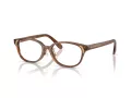 Swarovski SK 2040D 1067 52 Women glasses