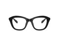 Swarovski SK 2042U 1001 48 Women glasses