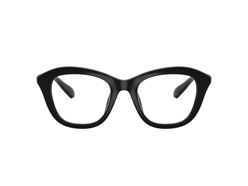 Swarovski SK 2042U 1001 48 Women glasses