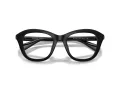 Swarovski SK 2042U 1001 48 Women glasses