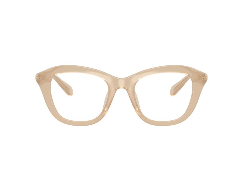 Swarovski SK 2042U 1034 48 Women glasses