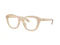 Swarovski SK 2042U 1034 50 Women glasses