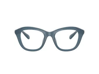 Swarovski SK 2042U 1035 48 Women glasses