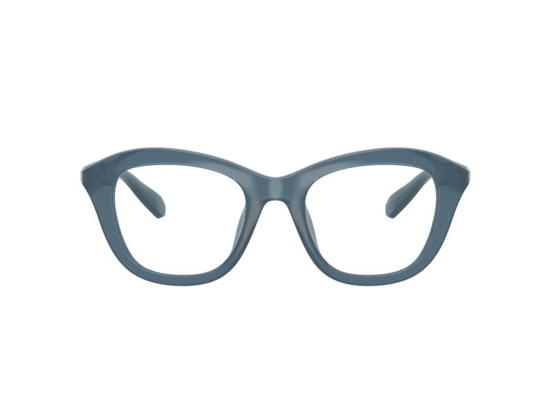 Swarovski SK 2042U 1035 48 Women glasses