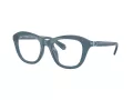 Swarovski SK 2042U 1035 48 Women glasses