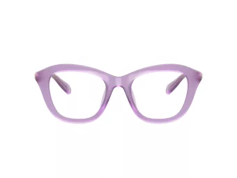 Swarovski SK 2042U 1075 48 Women glasses