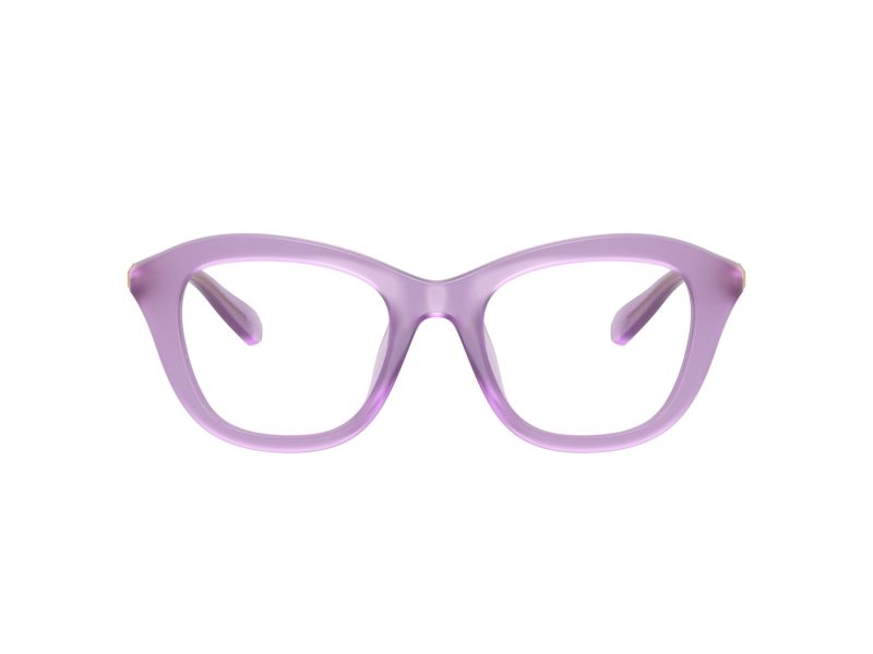 Swarovski SK 2042U 1075 48 Women glasses