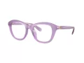 Swarovski SK 2042U 1075 48 Women glasses