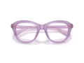 Swarovski SK 2042U 1075 48 Women glasses