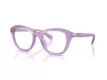 Swarovski SK 2042U 1075 48 Women glasses