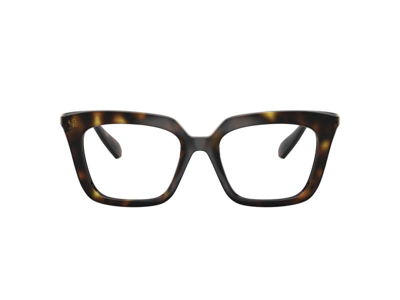 Swarovski SK 2043 1002 51 Women glasses