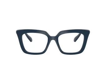 Swarovski SK 2043 1004 49 Women glasses