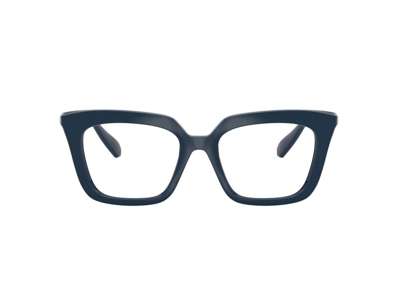 Swarovski SK 2043 1004 51 Women glasses