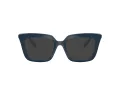 Swarovski SK 2043 1004 51 Women glasses