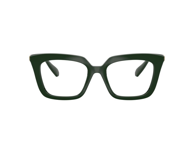 Swarovski SK 2043 1026 51 Women glasses