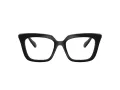 Swarovski SK 2043 1038 51 Women glasses