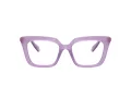 Swarovski SK 2043 1075 51 Women glasses