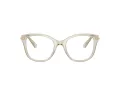 Swarovski SK 2044 3003 51 Women glasses