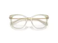 Swarovski SK 2044 3003 51 Women glasses