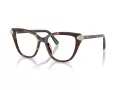 Swarovski SK 2045 1002 54 Women glasses