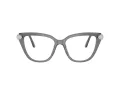 Swarovski SK 2045 1072 54 Women glasses