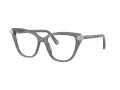 Swarovski SK 2045 1072 54 Women glasses