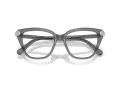 Swarovski SK 2045 1072 54 Women glasses