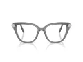 Swarovski SK 2045 1072 54 Women glasses