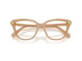 Swarovski SK 2045 2002 52 Women glasses