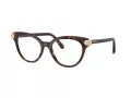 Swarovski SK 2046 1002 53 Women glasses