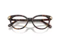 Swarovski SK 2046 1002 53 Women glasses