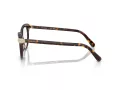 Swarovski SK 2046 1002 53 Women glasses