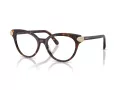 Swarovski SK 2046 1002 53 Women glasses