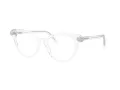 Swarovski SK 2046 1027 53 Women glasses