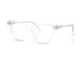 Swarovski SK 2046 1027 53 Women glasses