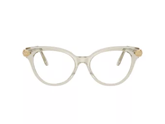 Swarovski SK 2046 3003 51 Women glasses