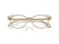 Swarovski SK 2046 3003 51 Women glasses