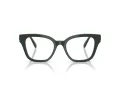 Swarovski SK 2048 1026 50 Women glasses