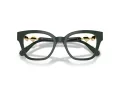Swarovski SK 2048 1026 52 Women glasses
