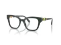 Swarovski SK 2048 1026 52 Women glasses